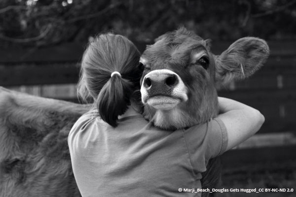 Frau umarmt Kuh
