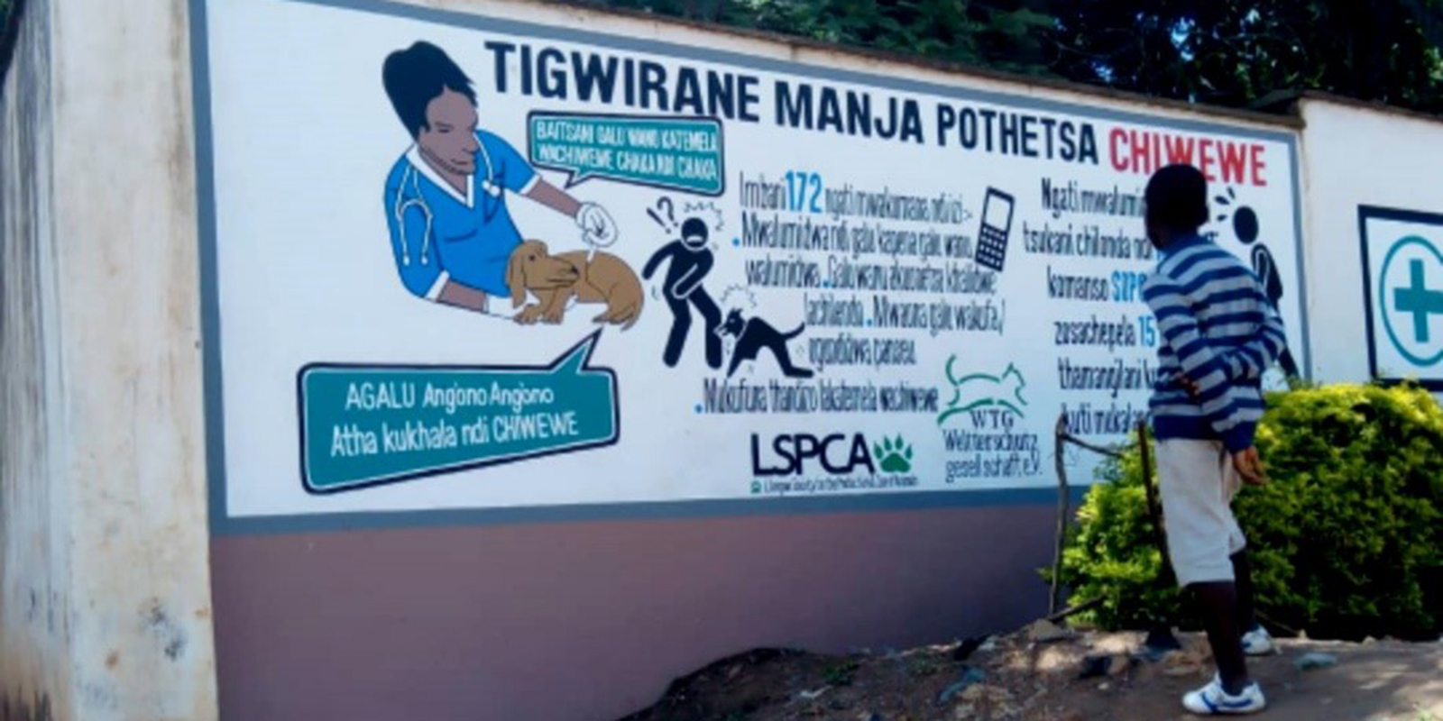 Anti-Tollwut-Teams in Malawi