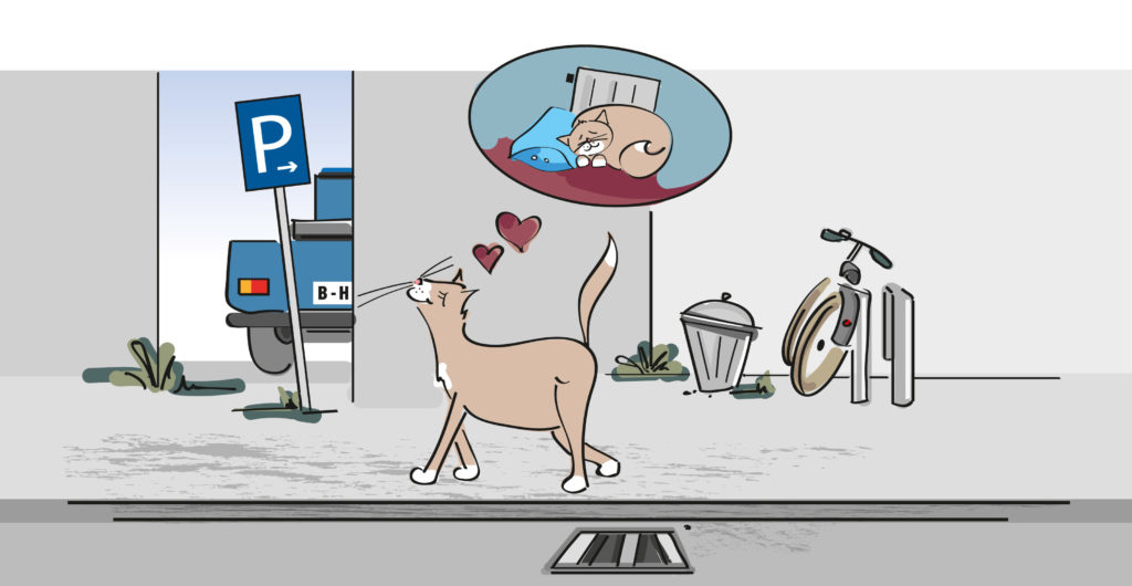 Illustrierte freilaufende Katze, die gechippt und registiert unbekümmert die Straße entlangspaziert