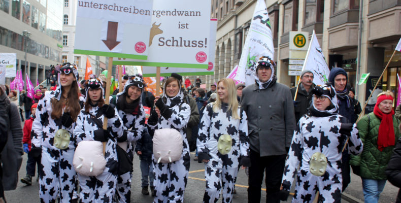 Unsere Demonstranten für die Kühe