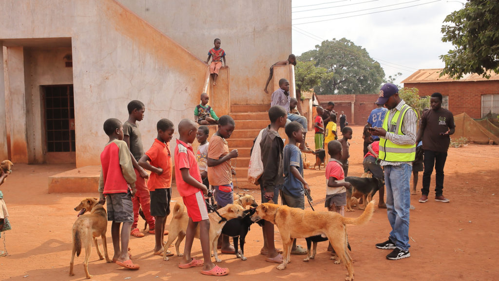 Kinder und Hunde stehen Schlange für's Impfen © Lilongwe Society for the Protection and Care of Animals