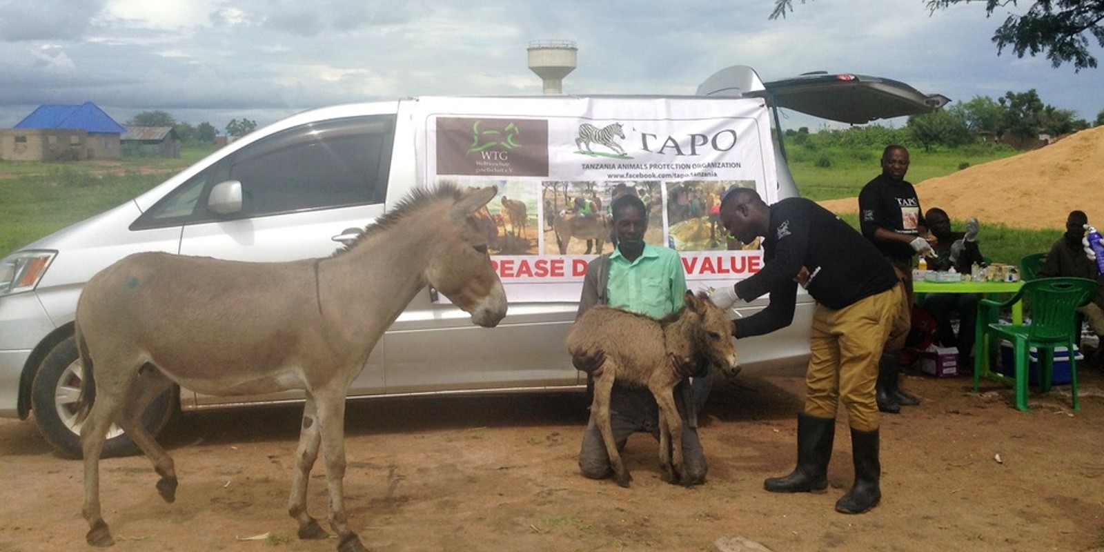 Eselschutz in Tansania