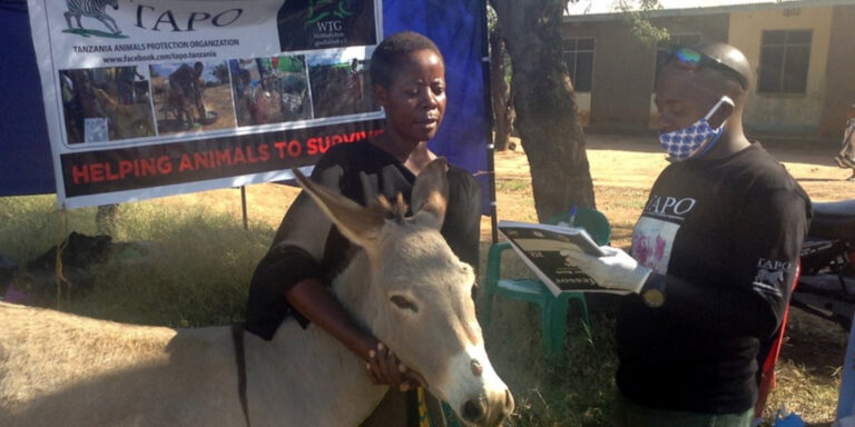 Abgeschlossen: WTG-Nothilfefonds: Für den Schutz der Tiere in Tansania