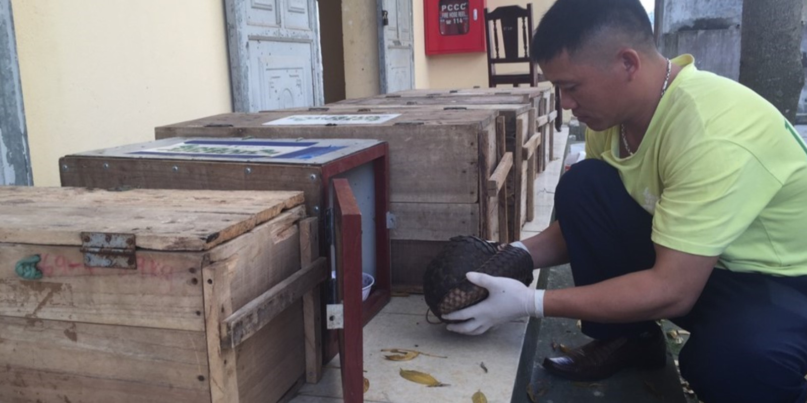 injured animals taken from the wildlife trade are brought to the rescue centre