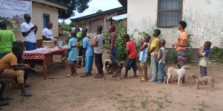 Anti-Tollwut-Einsatz in Liberia gewürdigt