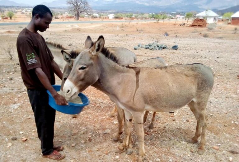 Abgeschlossen: Soforthilfe nach verheerenden Wetterextremen in Tansania