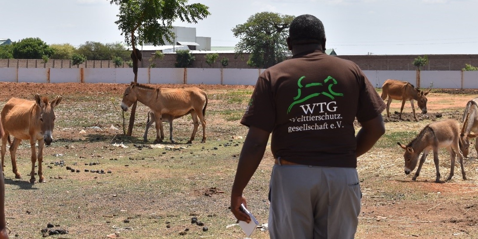 WTG-Nothilfefonds für notleidende Esel