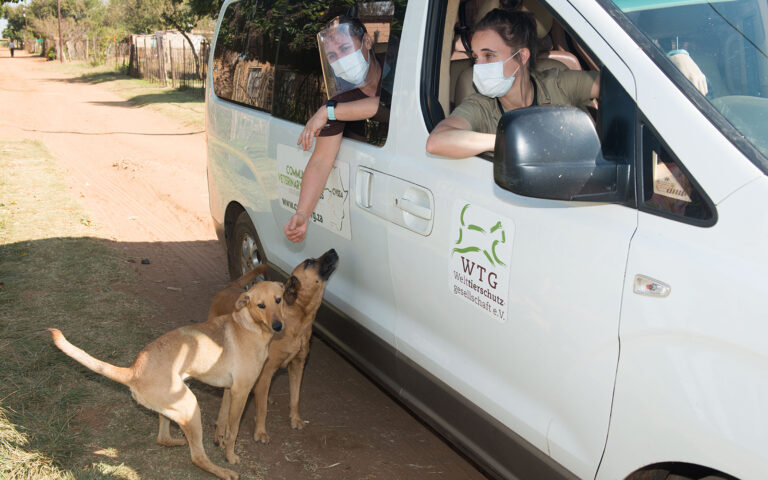 Gauteng/Südafrika: Tierschutz erneut im Krisenmodus
