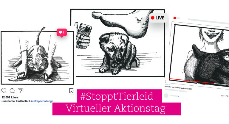 #StopptTierleid: virtueller Aktionstag