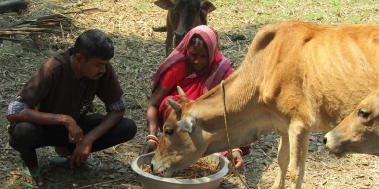 Pressemitteilung: Globale Hungerkrise – Welttierschutzgesellschaft fordert: Tiere müssen Teil der Lösung sein