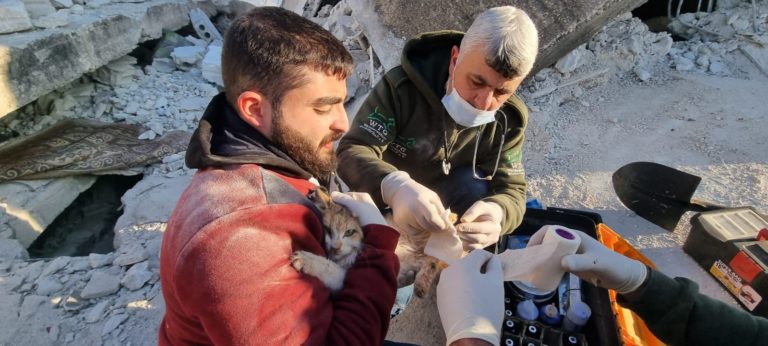 Syrien: Nothilfe nach den Erdbeben