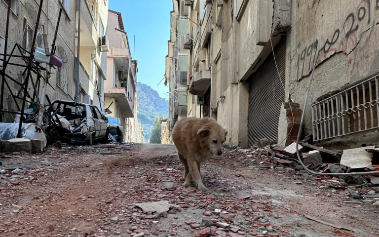 Türkei: Nothilfe nach den Erdbeben