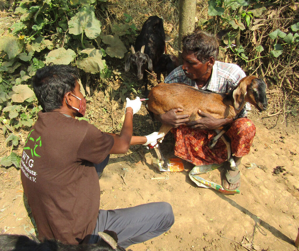Eine flächendeckende tiermedizinische Versorgung unterstützt auch die UN-Nachhaltigkeitsziele. © APOWA