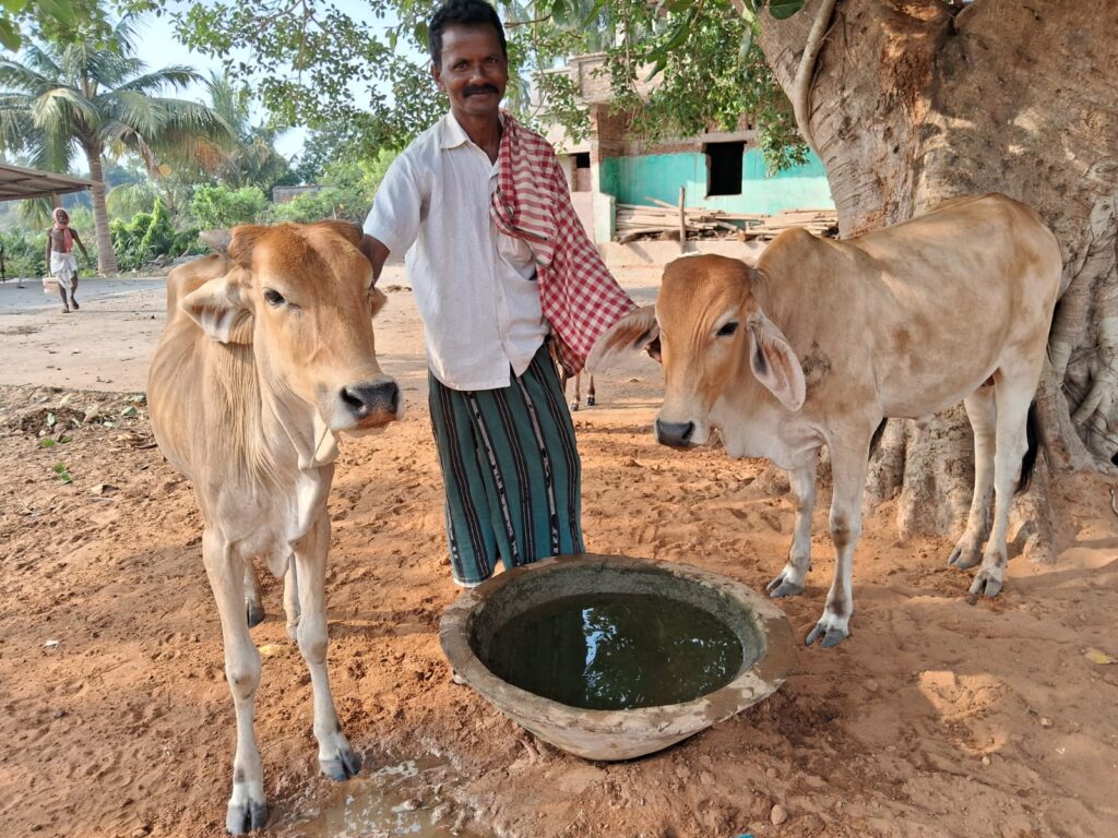Indien: Tiere vor Hitzewelle schützen