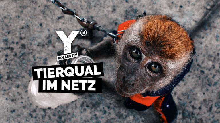 TV-Tipp: ARD-Film über Tierleid auf Social Media